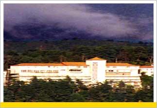 Holiday in Surya Resort, Dharamsala