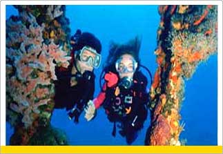 Scuba Diving,Tour to Male