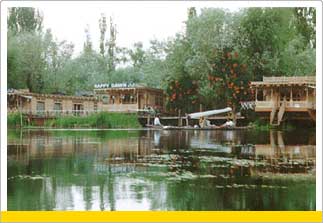 Tour to Dal Lake, Srinagar