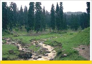 Pahalgam Tour